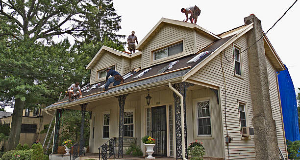 Best New Roof Installation  in Mcnary, AZ