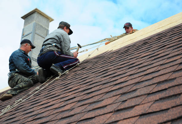 Best Roof Gutter Cleaning  in Mcnary, AZ