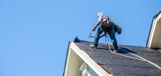 Best Local Roofing Companies  in Mcnary, AZ